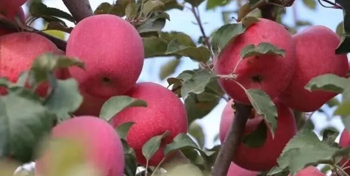 UG全球·(中国区)官方网站